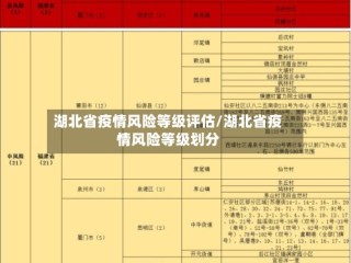 湖北省疫情风险等级评估/湖北省疫情风险等级划分