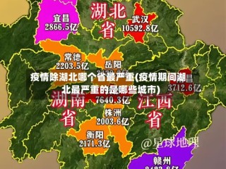 疫情除湖北哪个省最严重(疫情期间湖北最严重的是哪些城市)