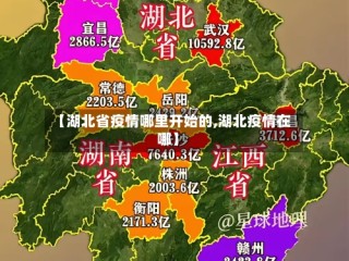 【湖北省疫情哪里开始的,湖北疫情在哪】