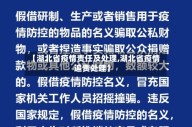 【湖北省疫情责任及处理,湖北省疫情追责处理】