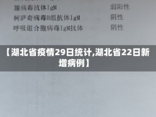 【湖北省疫情29日统计,湖北省22日新增病例】