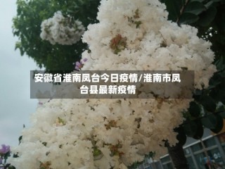 安徽省淮南凤台今日疫情/淮南市凤台县最新疫情
