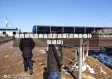 疫情期间云南省贷款政策(云南疫情补贴通知)