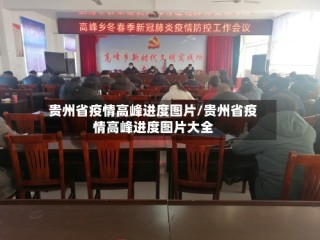 贵州省疫情高峰进度图片/贵州省疫情高峰进度图片大全