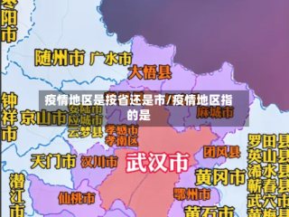 疫情地区是按省还是市/疫情地区指的是