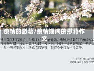 疫情的慰藉/疫情期间的慰藉作文
