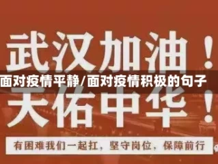 面对疫情平静/面对疫情积极的句子