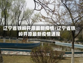 辽宁省铁岭开原最新疫情/辽宁省铁岭开原最新疫情通报