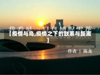 【疫情与鸟,疫情之下的联系与距离】