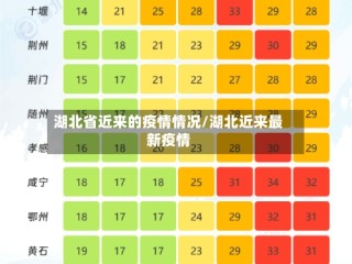 湖北省近来的疫情情况/湖北近来最新疫情