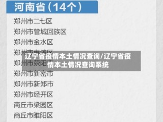 辽宁省疫情本土情况查询/辽宁省疫情本土情况查询系统