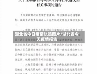 湖北省今日疫情轨迹图片/湖北省今天疫情报告