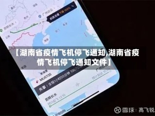 【湖南省疫情飞机停飞通知,湖南省疫情飞机停飞通知文件】