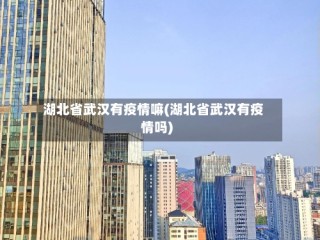 湖北省武汉有疫情嘛(湖北省武汉有疫情吗)