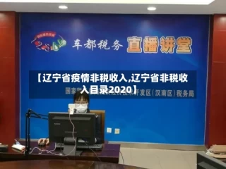 【辽宁省疫情非税收入,辽宁省非税收入目录2020】