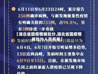【湖北省因疫情被处分,湖北省因疫情被处分人员名单】