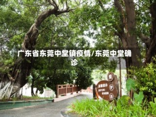 广东省东莞中堂镇疫情/东莞中堂确诊