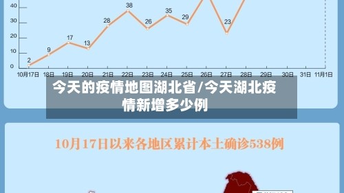 今天的疫情地图湖北省/今天湖北疫情新增多少例