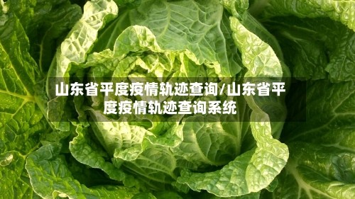 山东省平度疫情轨迹查询/山东省平度疫情轨迹查询系统