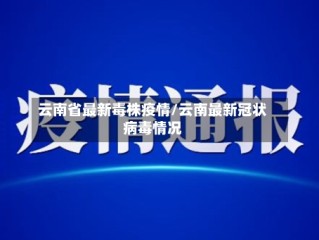 云南省最新毒株疫情/云南最新冠状病毒情况