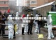 疫情传播城市/疫情传播范围到了哪些地方