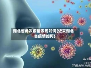 湖北省此次疫情表现如何(近来湖北省疫情如何)