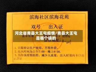 河北省青县大王屯疫情/青县大王屯是哪个镇的