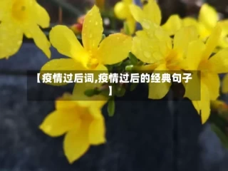 【疫情过后词,疫情过后的经典句子】