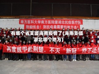 有哪个省支援海南疫情了(海南支援湖北哪个地方)