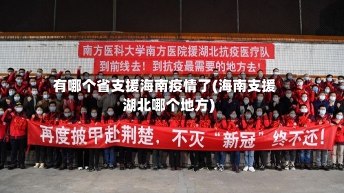 有哪个省支援海南疫情了(海南支援湖北哪个地方)