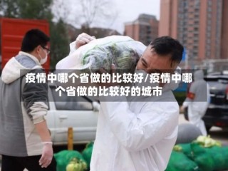 疫情中哪个省做的比较好/疫情中哪个省做的比较好的城市