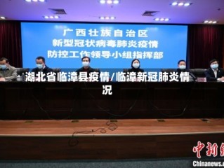 湖北省临漳县疫情/临漳新冠肺炎情况