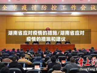湖南省应对疫情的措施/湖南省应对疫情的措施和建议