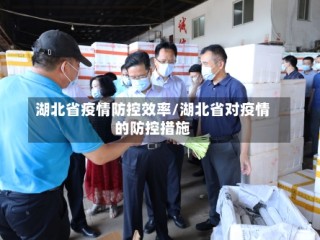 湖北省疫情防控效率/湖北省对疫情的防控措施