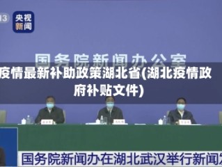 疫情最新补助政策湖北省(湖北疫情政府补贴文件)