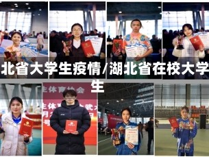 湖北省大学生疫情/湖北省在校大学生