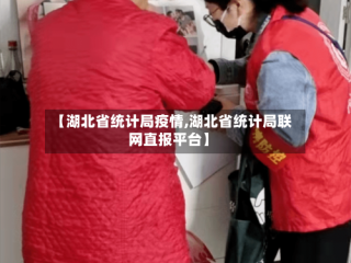 【湖北省统计局疫情,湖北省统计局联网直报平台】
