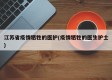 江苏省疫情牺牲的医护(疫情牺牲的医生护士)