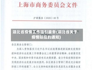 湖北省疫情工作指引最新(湖北省关于疫情防控的通知)