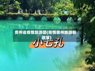 贵州省疫情旅游团(疫情贵州旅游新政策)
