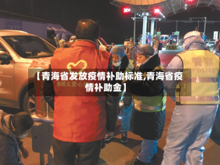 【青海省发放疫情补助标准,青海省疫情补助金】