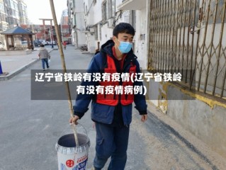 辽宁省铁岭有没有疫情(辽宁省铁岭有没有疫情病例)