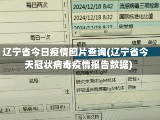 辽宁省今日疫情图片查询(辽宁省今天冠状病毒疫情报告数据)