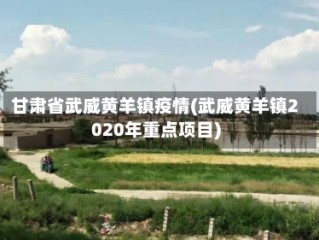 甘肃省武威黄羊镇疫情(武威黄羊镇2020年重点项目)