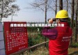 疫情线路巡视(疫情线路巡视工作方案)