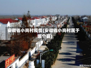 安徽省小岗村疫情(安徽省小岗村属于哪个县)