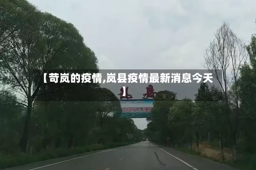 【苛岚的疫情,岚县疫情最新消息今天】