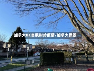 加拿大BC省枫树岭疫情/加拿大枫景