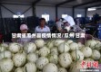 甘肃省瓜州县疫情情况/瓜州 甘肃