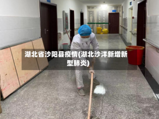 湖北省沙阳县疫情(湖北沙洋新增新型肺炎)